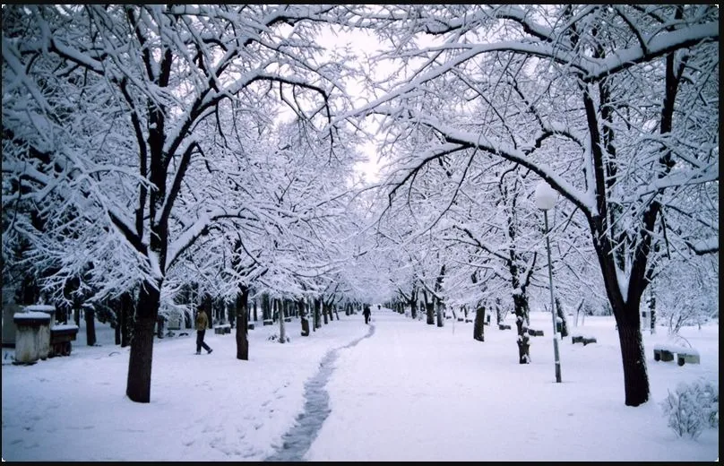 Ein Winterweg durch den Stadtpark von Bitola